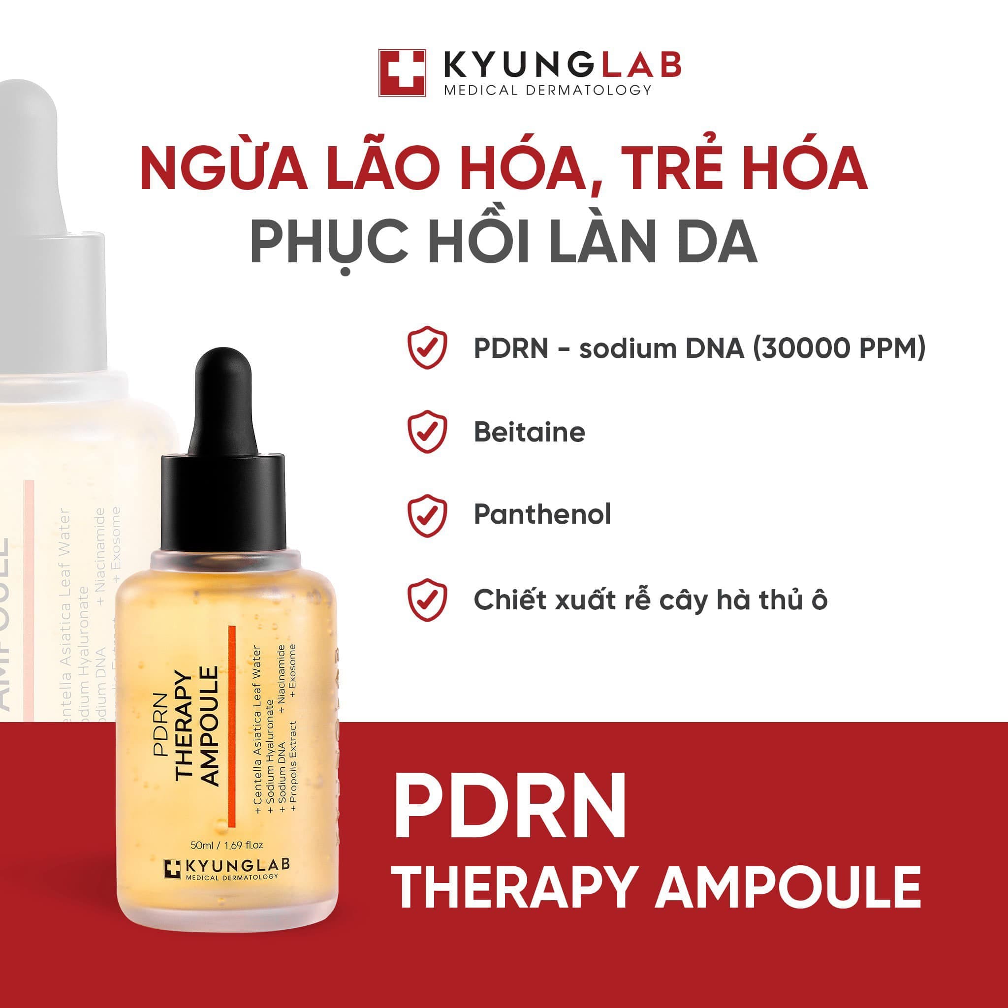 Serum tế bào gốc PDRN KyungLab Therapy Ampoule (50ml) Serum tế bào gốc PDRN KyungLab Therapy Ampoule (50ml)